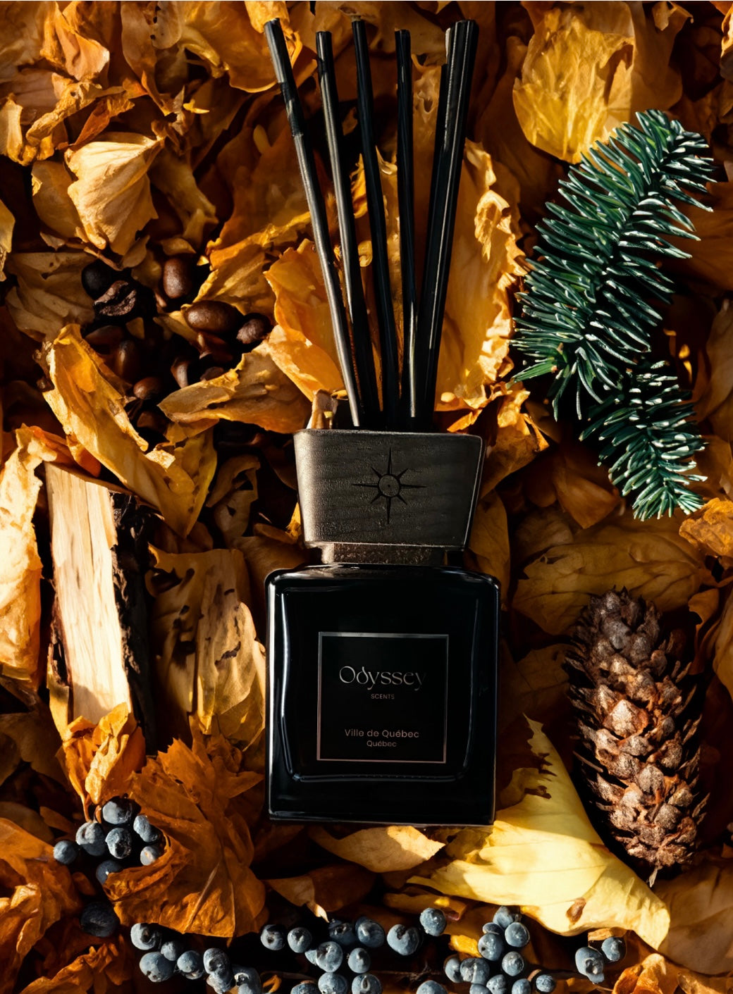 Fragrance diffuser Quebec City